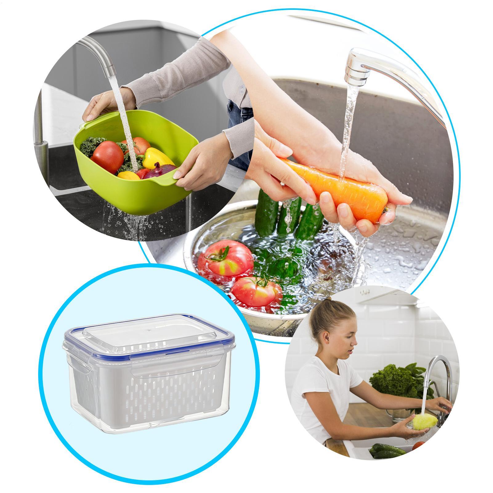 حاوية تخزين طعام 4 في 1، منظما - مراجعة Food Storage Plastic وسعره