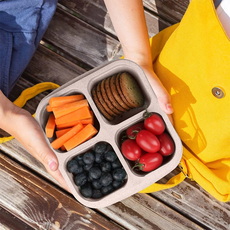 صندوق تخزين الطعام المحمول ، ا - مراجعة Food Storage Box Plastic وسعره